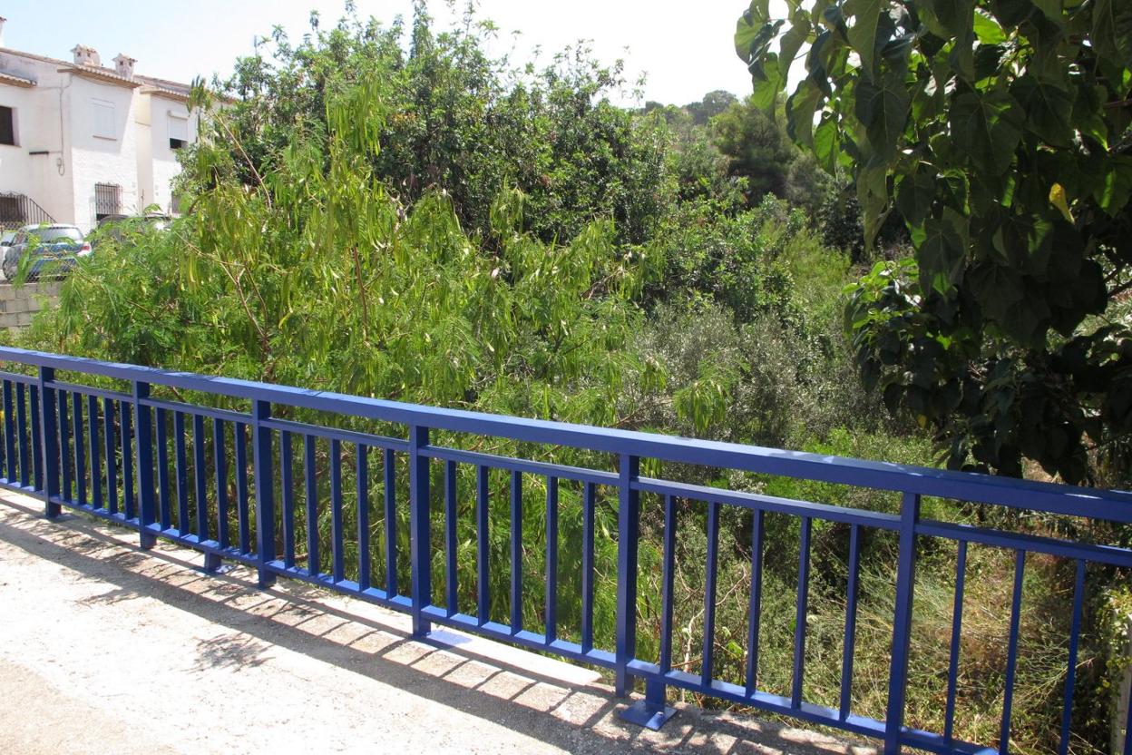 La abundante vegetación en uno de los barrancos de la zona del Montgó, en Dénia. TINO CALVO