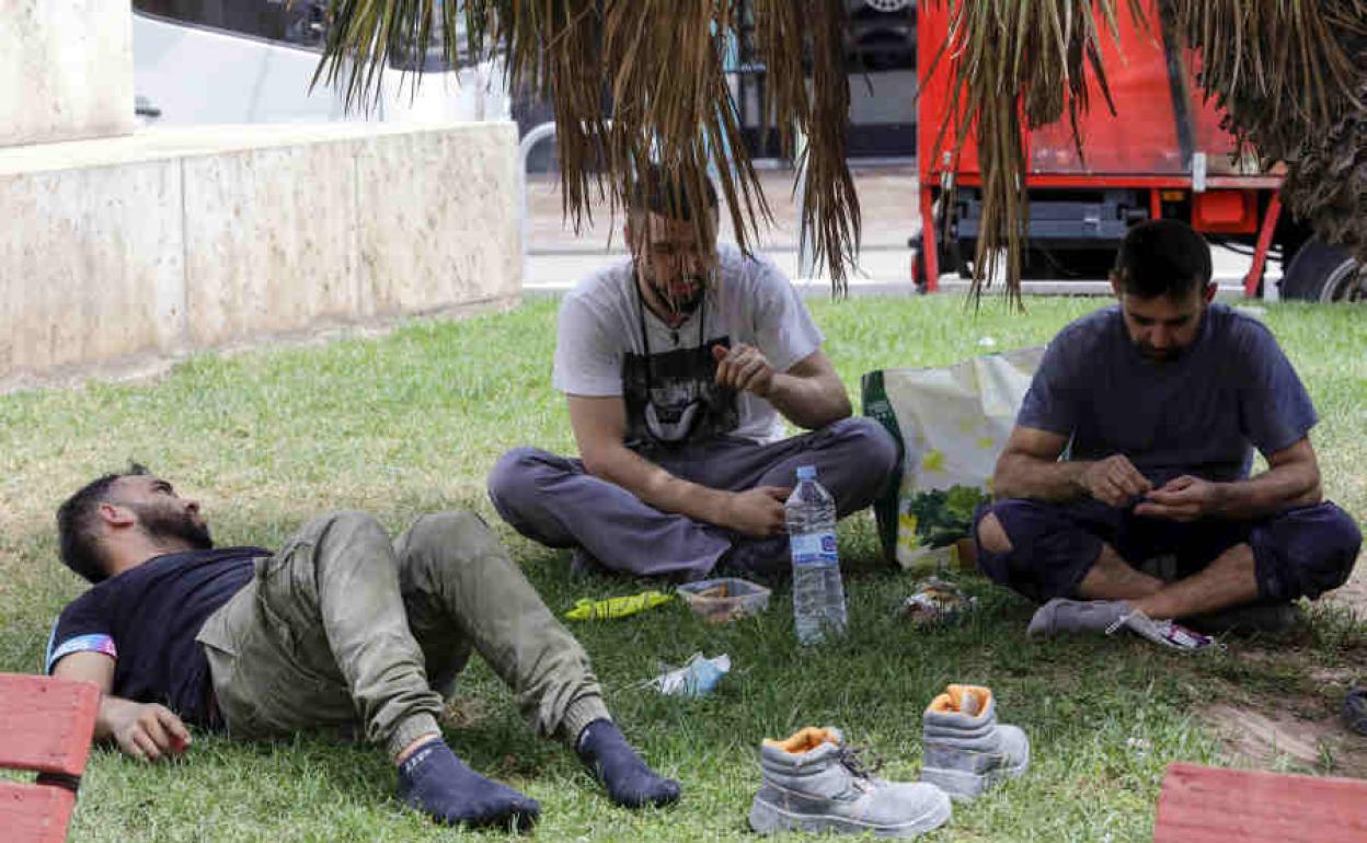 Efectos de la ola de calor en Valencia.