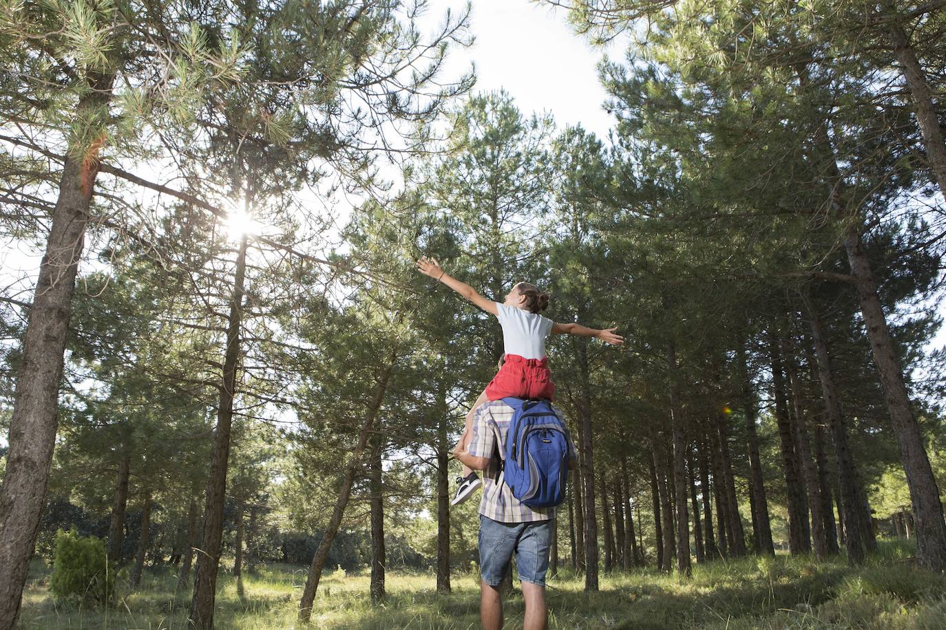 Cultura del vino y naturaleza en Utiel-Requena