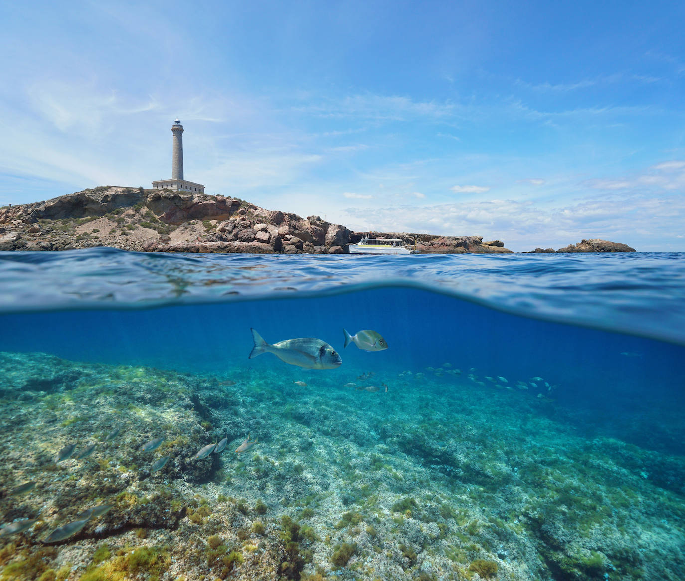 CABO DE PALOS (Murcia)