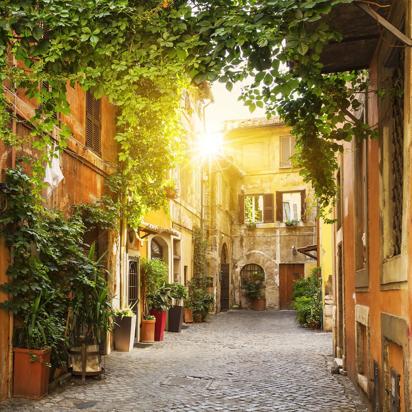 TRASTEVERE (Rome)