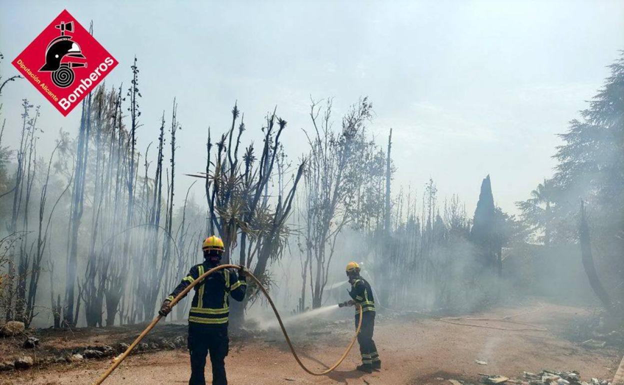 Las llamas han alcanzado una zona de pinos, provicando un incendio de masa forestal. 