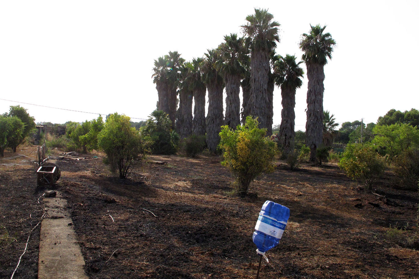 Incendio en Dénia.