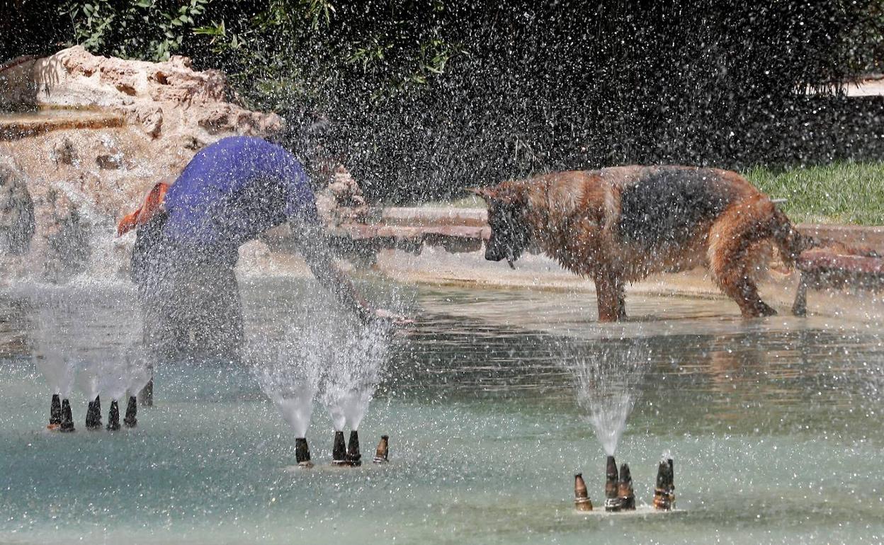 Una joven con su perro se refrescan en una fuente de los Jardines de Viveros de Valencia.