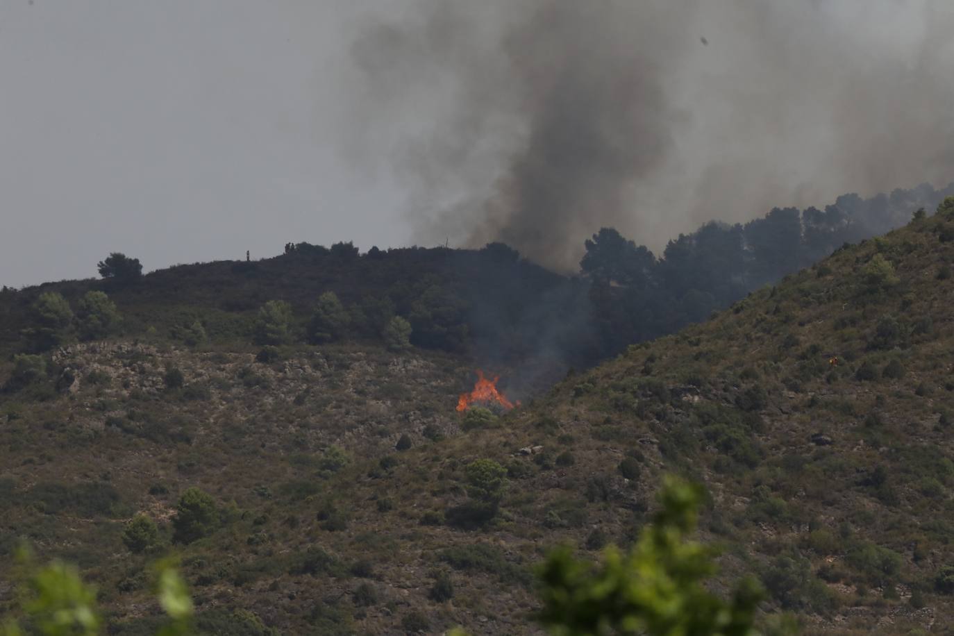 Un incendio afecta a la localidad castellonense de Azuébar desde última hora de la tare del sábado. Los efectivos trabajan para sofocar las llamas y los vecinos del municipio han sido desalojados por precaución.