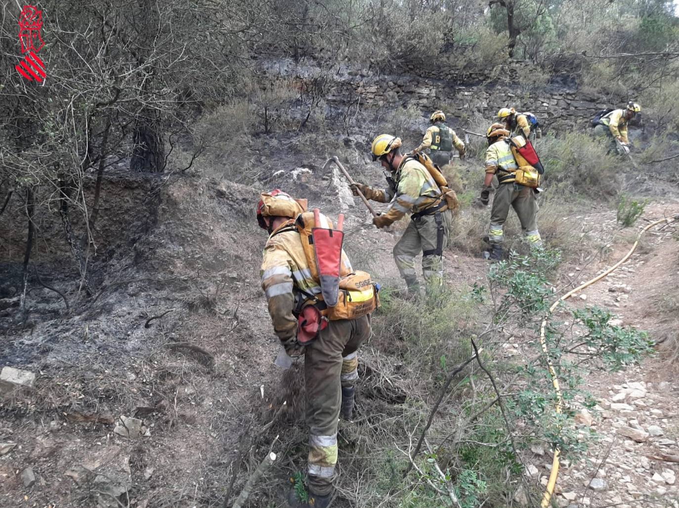 Un incendio afecta a la localidad castellonense de Azuébar desde última hora de la tare del sábado. Los efectivos trabajan para sofocar las llamas y los vecinos del municipio han sido desalojados por precaución.