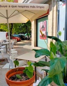 Imagen secundaria 2 - Arriba, fachada del restaurante La Cocinita. Abajo a la izquierda, terraza del local. Abajo a la derecha, maceta situada junto a las mesas de la terraza. 