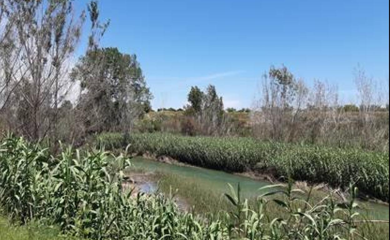 Zona en la que se está actuando. 