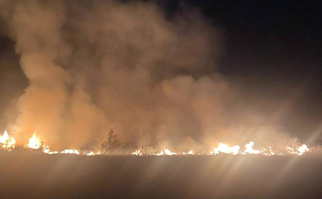 Incendio en la cementera de Alicante, durante la madrugada de este sábado. 