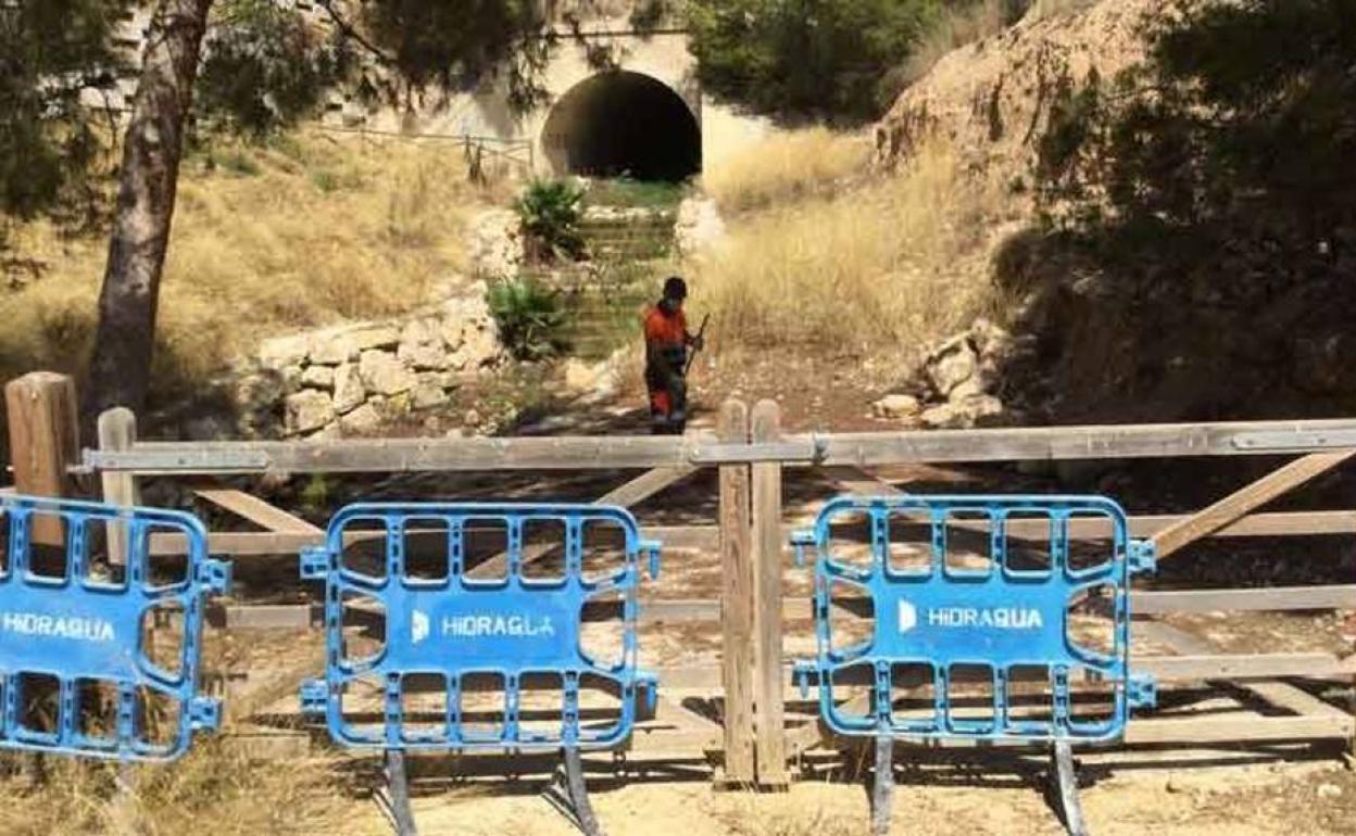 Las tareas de limpieza de los barrancos de Benidorm. 