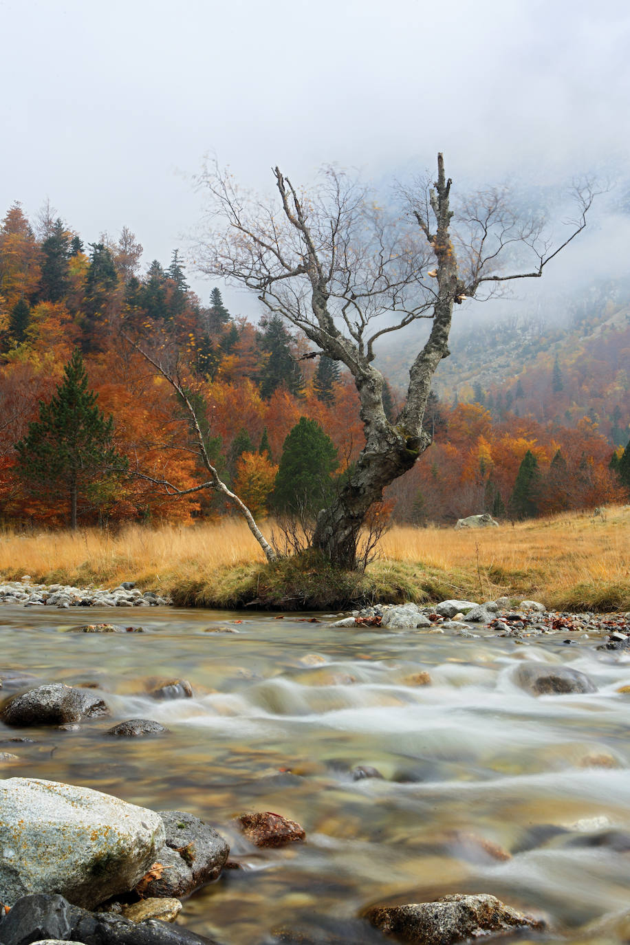 VALLE DE ARÁN | El Valle de Arán pertenece a la provincia de Lérida en Cataluña y su capital es Vielha e Mitjaran, conocido también como Viella o Vielha. Es un lugar único y de singular belleza, y hace que miles de turistas de todo el mundo visiten esta zona.