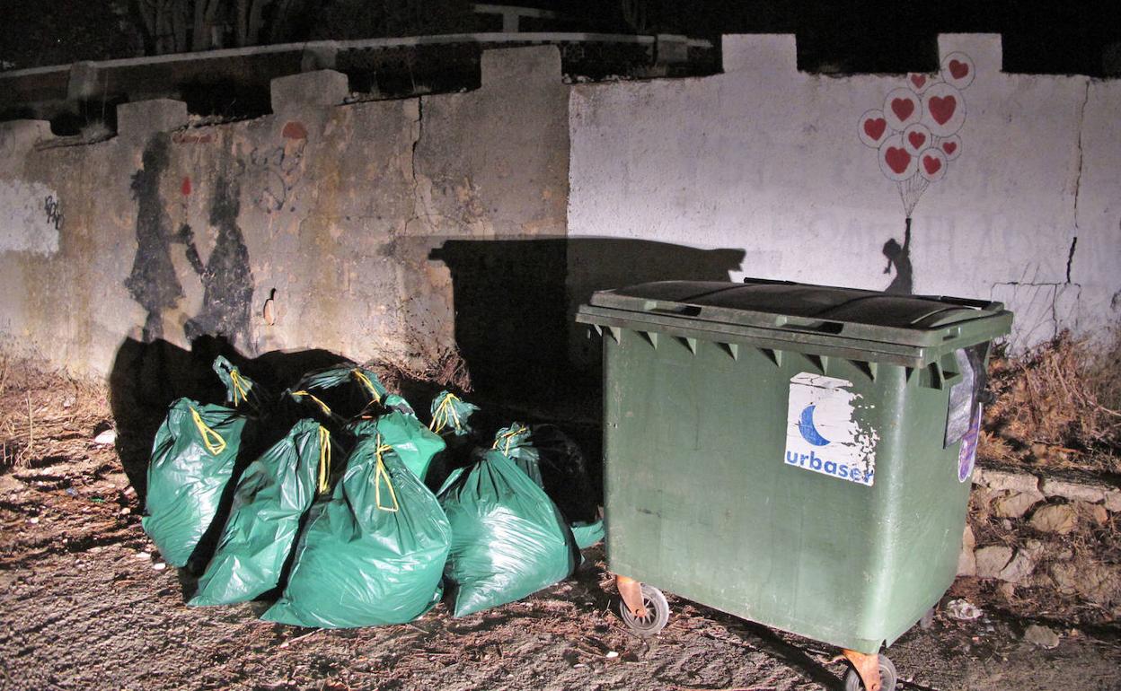 Bolsas de basura junto a un contenedor de la zona de Les Rotes. 