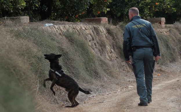 La Guardia Civil reactiva la búsqueda de Marta Calvo en Manuel