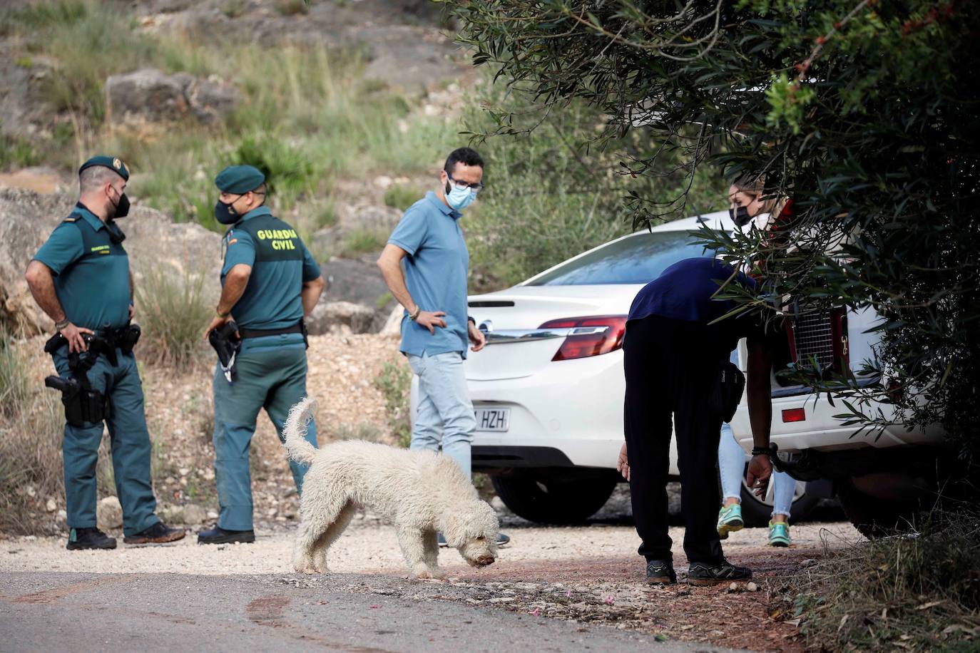 Una treintena de agentes reconocen el terreno delimitado por la geolocalización de uno de los móviles que utilizaba el presunto asesino en serie, entre los municipios de Villanueva de Castellón, Manuel y Llosa de Ranes.