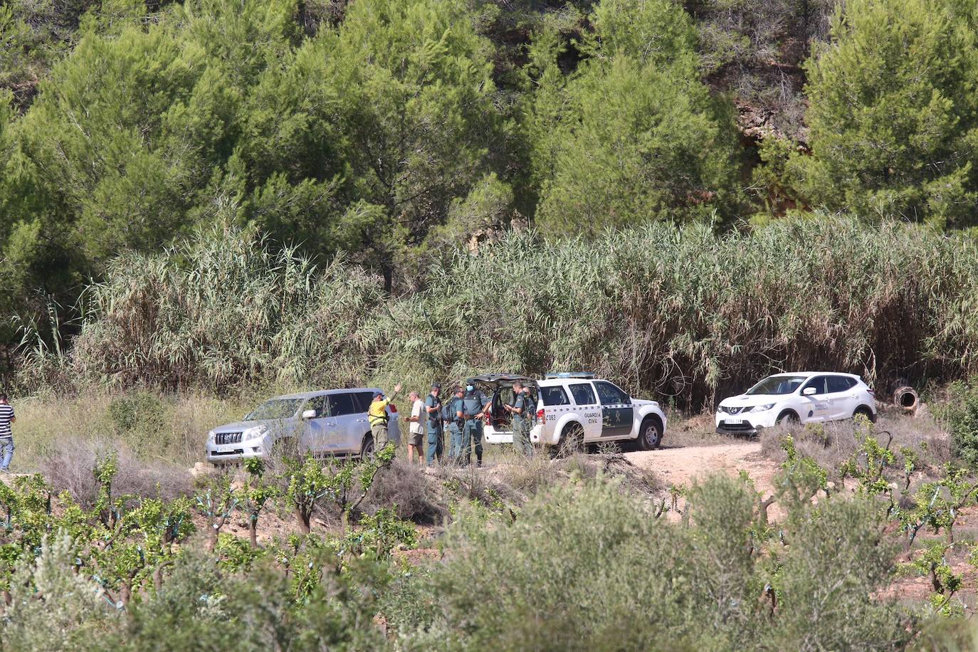 La búsqueda del cuerpo de Marta Calvo se reanuda este jueves con la ayuda de una brigada forestal.