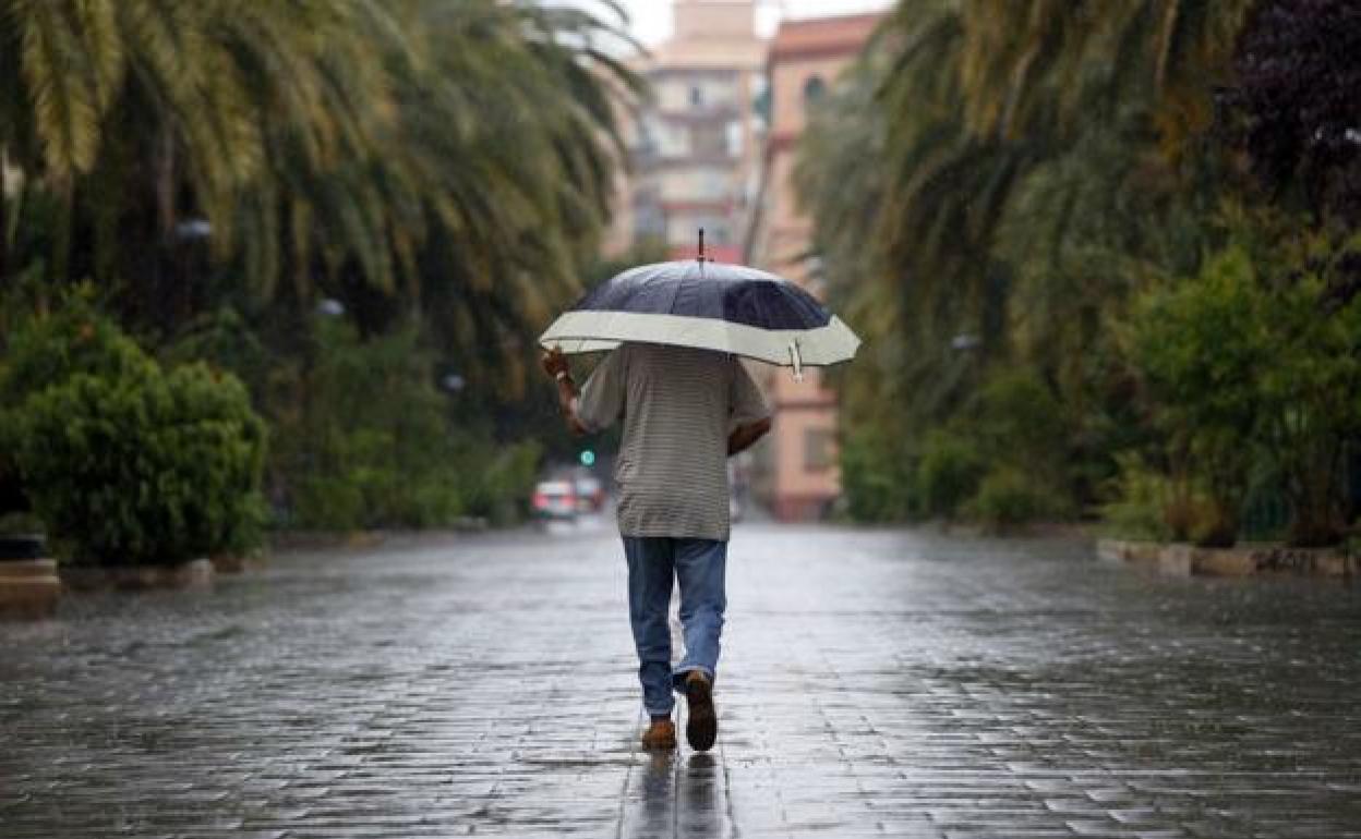 Hombre pasea por Gregorio Gea.