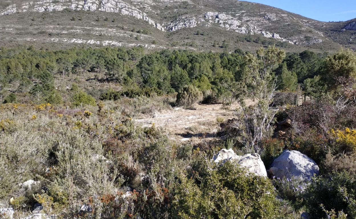 Pla de Barber de Benifairó. 