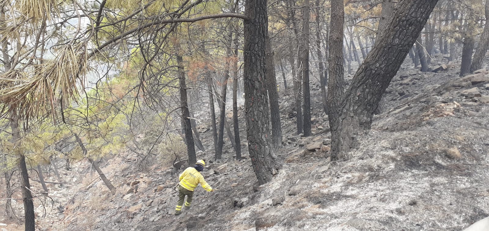 Fotos: Incendio en Sierra Bermeja