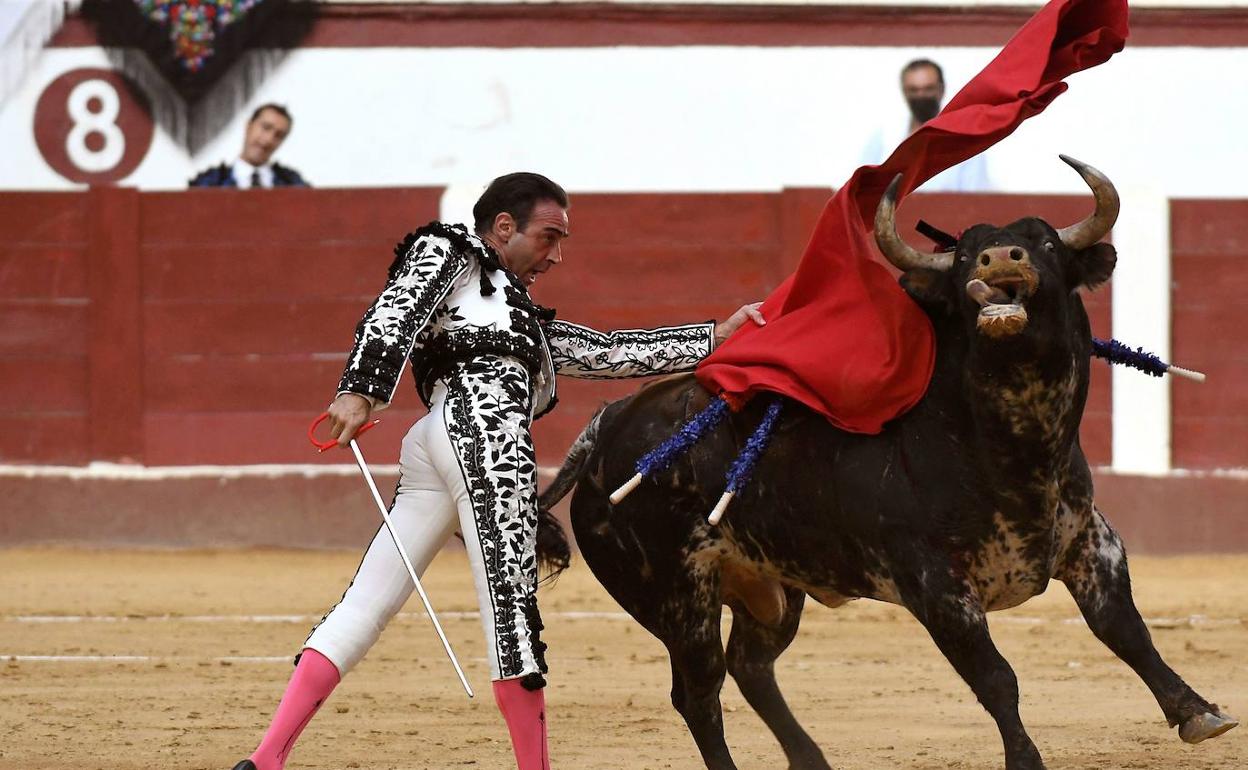 La Facultad de Medicina ha impulsado un curso sobre asistencia a los heridos por asta de toro. 