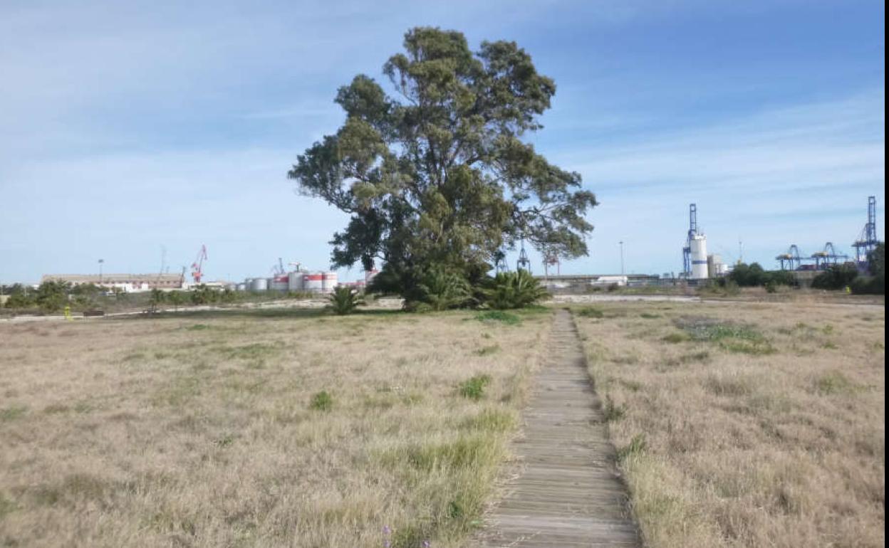 Espai Natzaret en la zona del futuro Parque de Desembocadura.