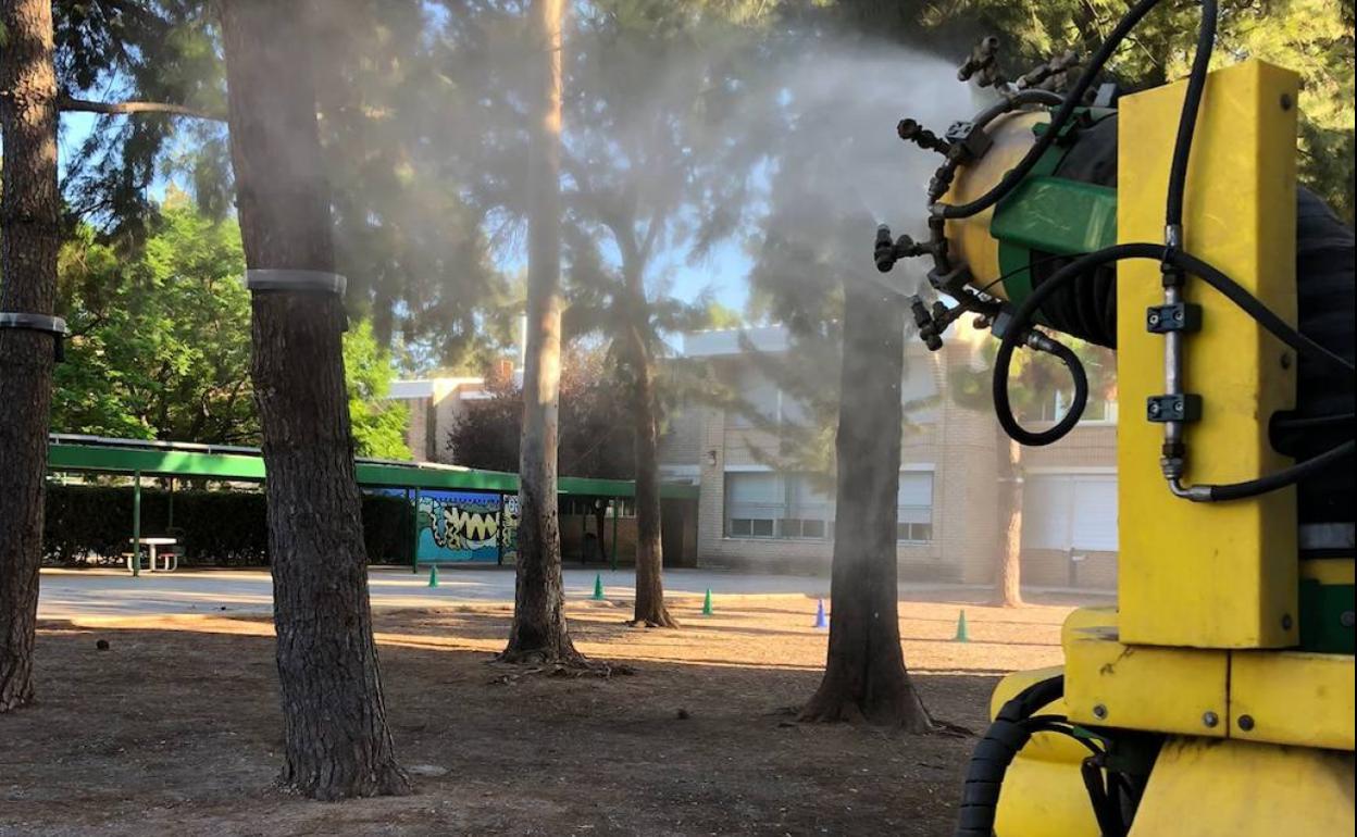 Los trabajos de fumigación. 