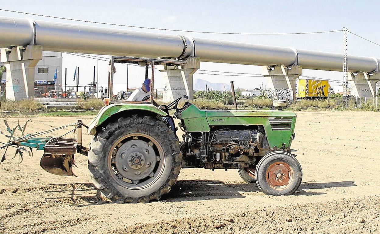 Un agricultor trabaja en el campo de la Vega Baja. 