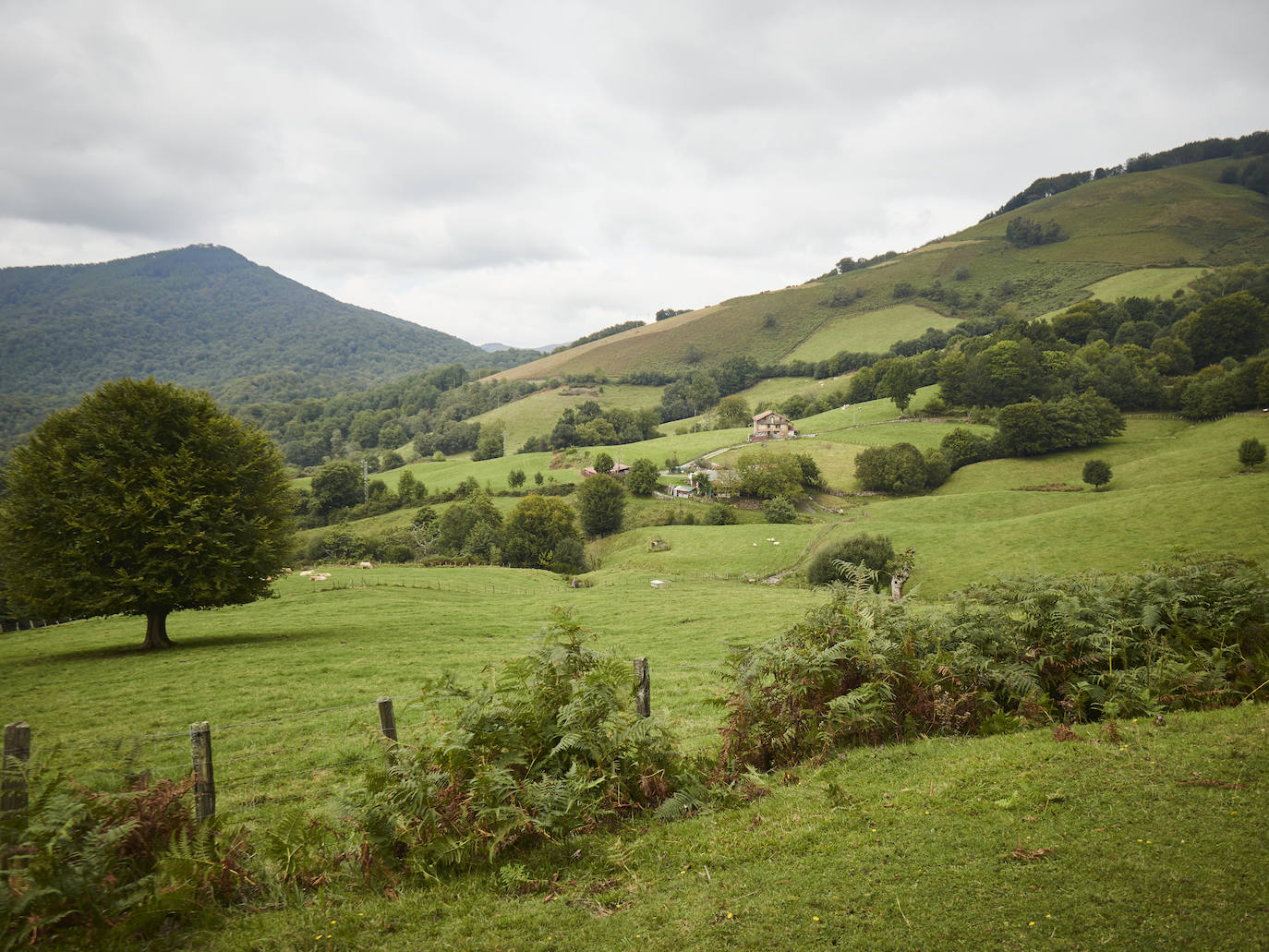 Si hay un momento especial para visitar el Valle del Baztán es el otoño. Enclavado en el norte de Navarra, el Valle de Baztán forma parte del Pirineo atlántico y alberga en su territorio una riqueza natural extraordinaria, patente en cada uno de sus rincones, destacando sobre todo su fauna y flora. Es apreciado por su idílico paisaje, envuelto en una halo de misterio. Rincones como el Molino del Infierno inspiran leyendas y obras literarias como la trilogía de novelas -auténticos bestsellers- de la autora Dolores Redondo. 