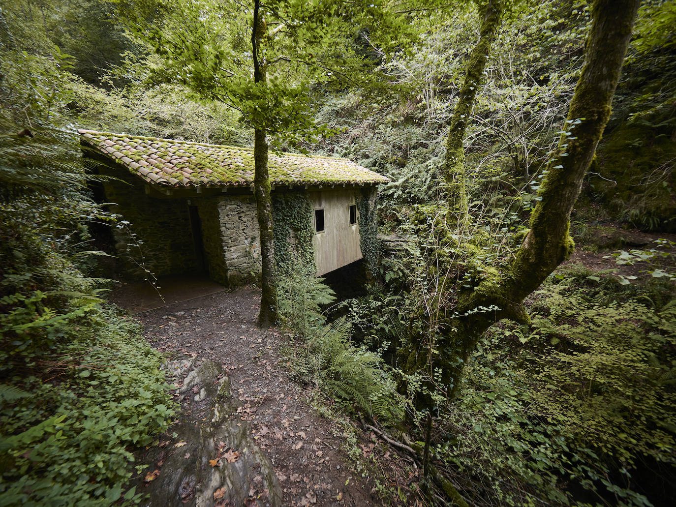 Si hay un momento especial para visitar el Valle del Baztán es el otoño. Enclavado en el norte de Navarra, el Valle de Baztán forma parte del Pirineo atlántico y alberga en su territorio una riqueza natural extraordinaria, patente en cada uno de sus rincones, destacando sobre todo su fauna y flora. Es apreciado por su idílico paisaje, envuelto en una halo de misterio. Rincones como el Molino del Infierno inspiran leyendas y obras literarias como la trilogía de novelas -auténticos bestsellers- de la autora Dolores Redondo. 