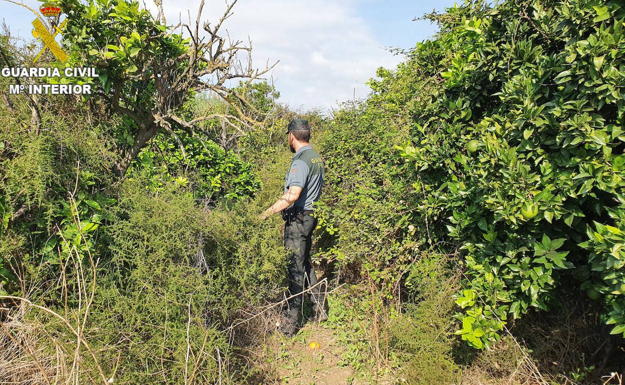 Niño desaparecido en Godelleta | Localizan a un niño de 2 años perdido en una urbanización de Godelleta