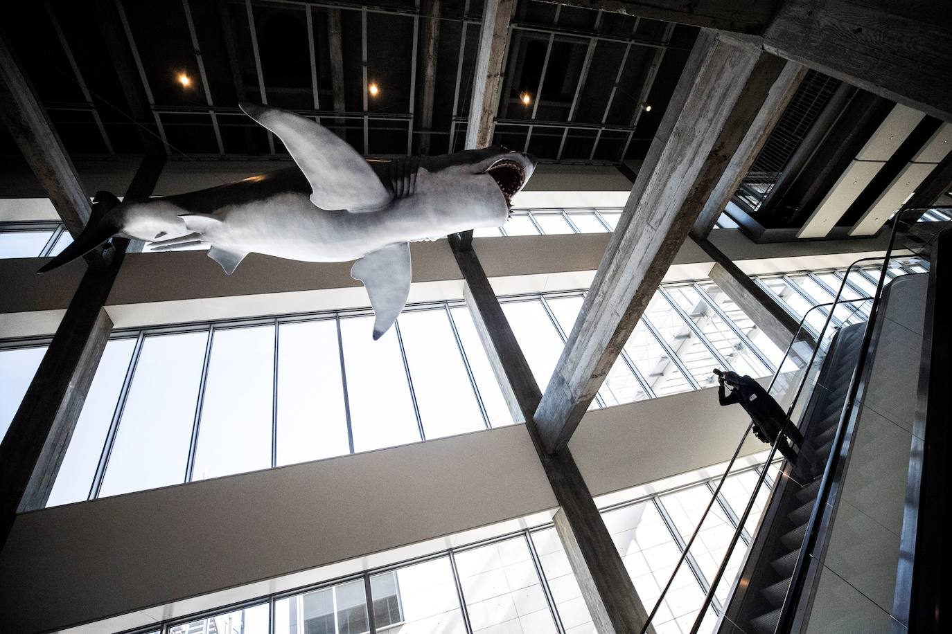 Los Ángeles ya ha inaugurado el Academy Museum of Motion Pictures, un homenaje al mundo del cine repleto de grandes tesoros del séptimo arte. El centro abrirá al público el 30 de septiembre, con más de 12 millones de fotografías, 190.000 artículos de cintas clásicas, 80.000 guiones, 50.000 pósteres y 20.000 bocetos. Entre algunas de las piezas que se podrán ver se encuentran los zapatos rojo rubí de Dorothy en 'El mago de Oz' o el único molde que queda del tiburón de Jaws, además de objetos que pertenecieron a grandes figuras del cine como Katherine Hepburn o Alfred Hitchcock. 