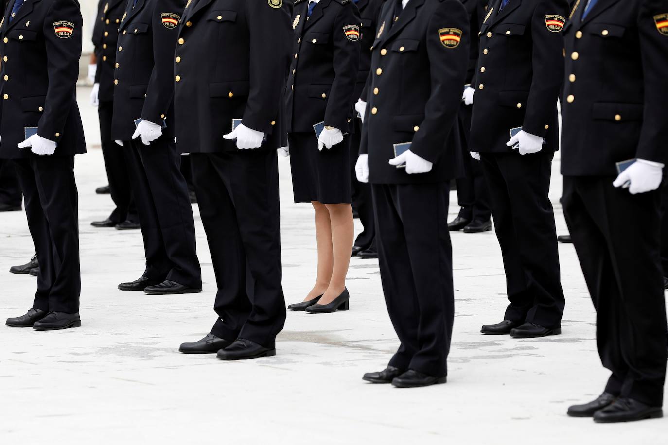 La Ciudad de las Artes de Valencia ha acogido este lunes la celebración del Día de la Policía Nacional. En el acto, que ha tenido lugar durante la mañana, han participado el director general de la Policía, Francisco Pardo, y varios agentes en representación del cuerpo policial. 