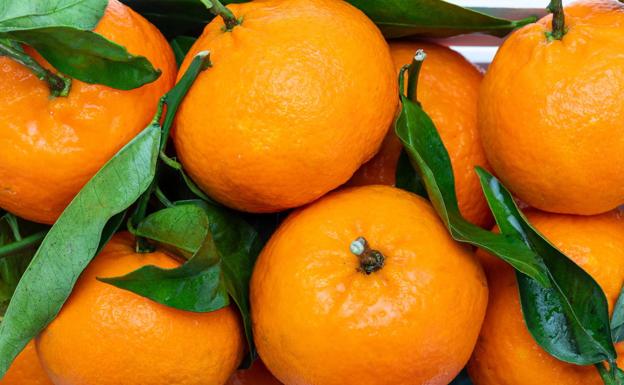 Consum compra más de 10.000 toneladas de naranjas y mandarinas valencianas para sus supermercados 