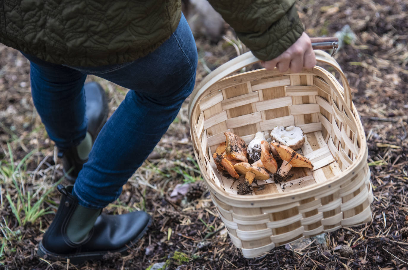 No todas las setas son de otoño, pero el otoño constituye una temporada venerable para los frutos de los hongos, y en consecuencia para nuestras despensas. Viajamos con Clara Puig y Borja Susilla, del restaurante Tula de Jávea hasta los cercanos montes de Teruel, en las inmediaciones de Tramacastilla, en busca de setas de temporada.