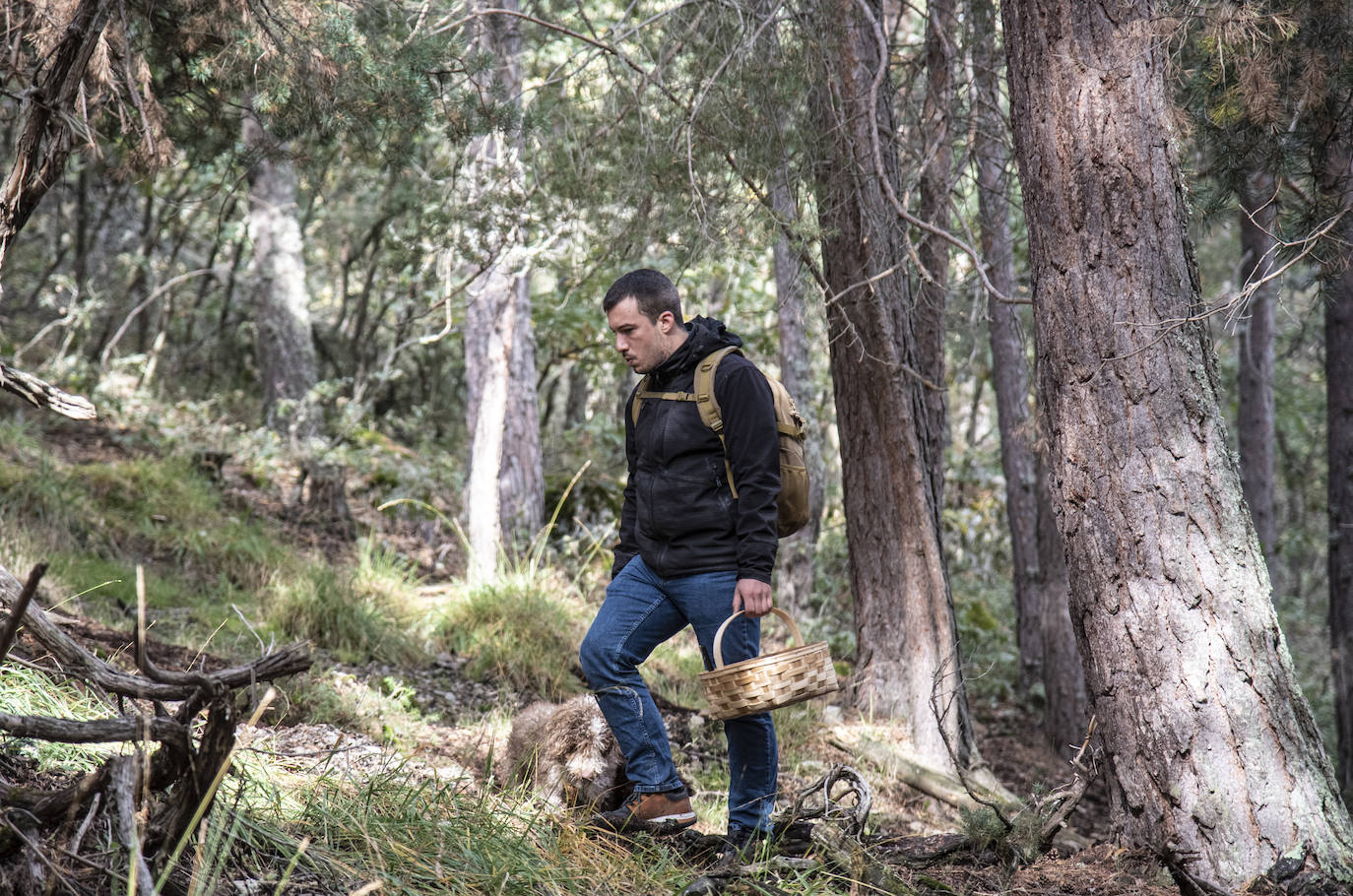 No todas las setas son de otoño, pero el otoño constituye una temporada venerable para los frutos de los hongos, y en consecuencia para nuestras despensas. Viajamos con Clara Puig y Borja Susilla, del restaurante Tula de Jávea hasta los cercanos montes de Teruel, en las inmediaciones de Tramacastilla, en busca de setas de temporada.