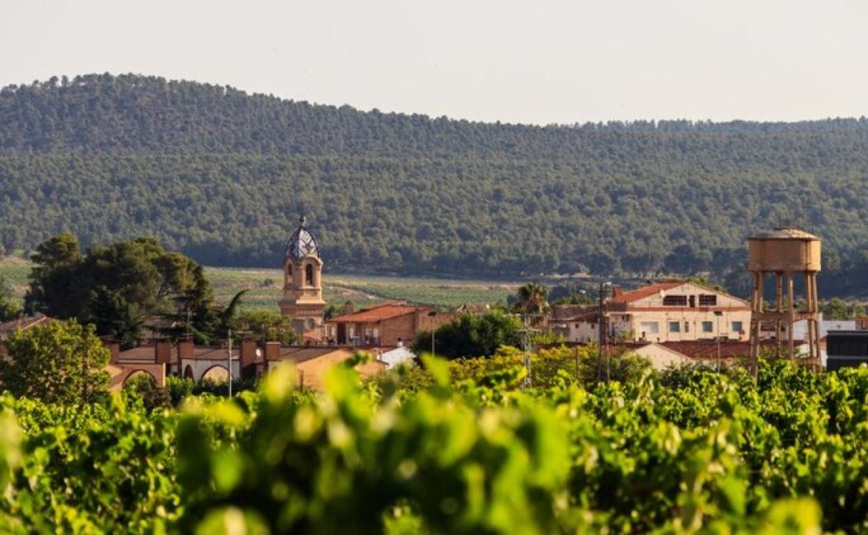 Vista general de Fontanars dels Alforins. 