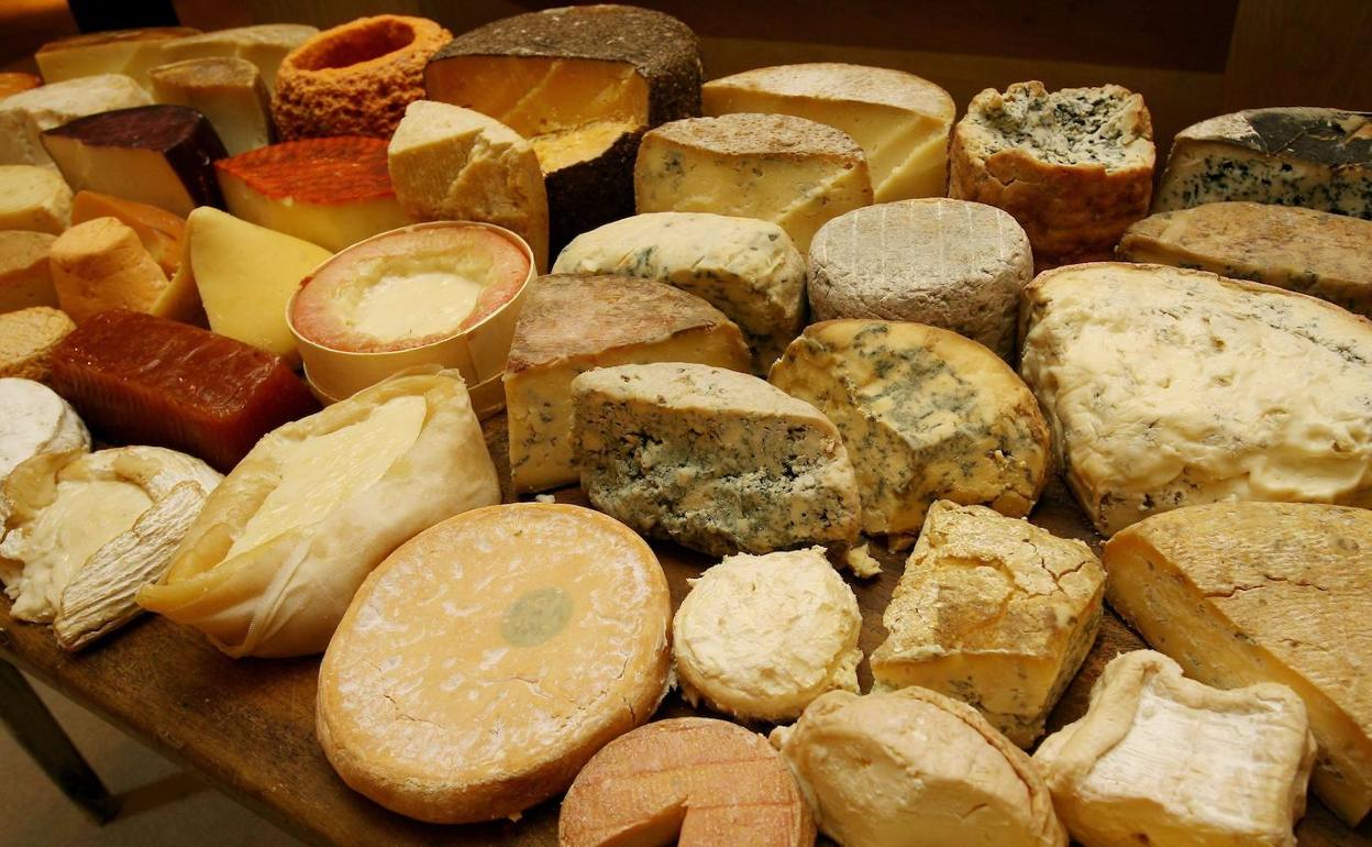 Diferentes variedades de quesos. 