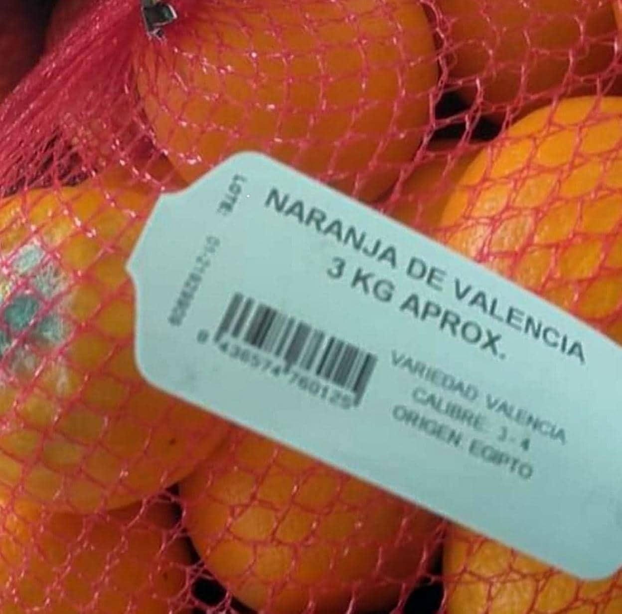 ¿Naranja de Valencia... con origen en Egipto? Y con frutos podridos. LP