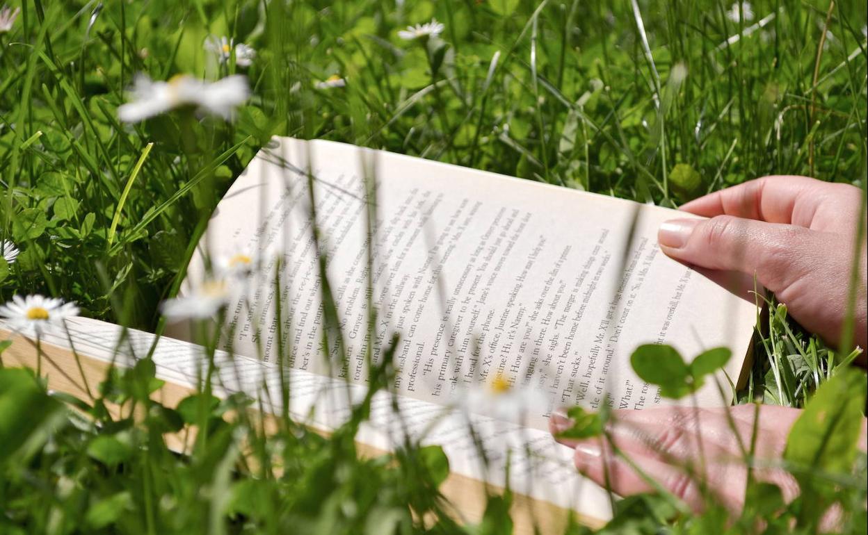 Persona lee libro tumbada en el césped. 