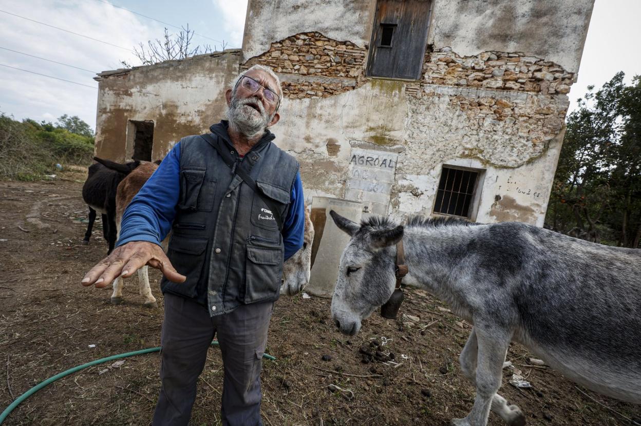 Juan Lebrián, el ganadero al que se le han muerto los burros. jesús signes