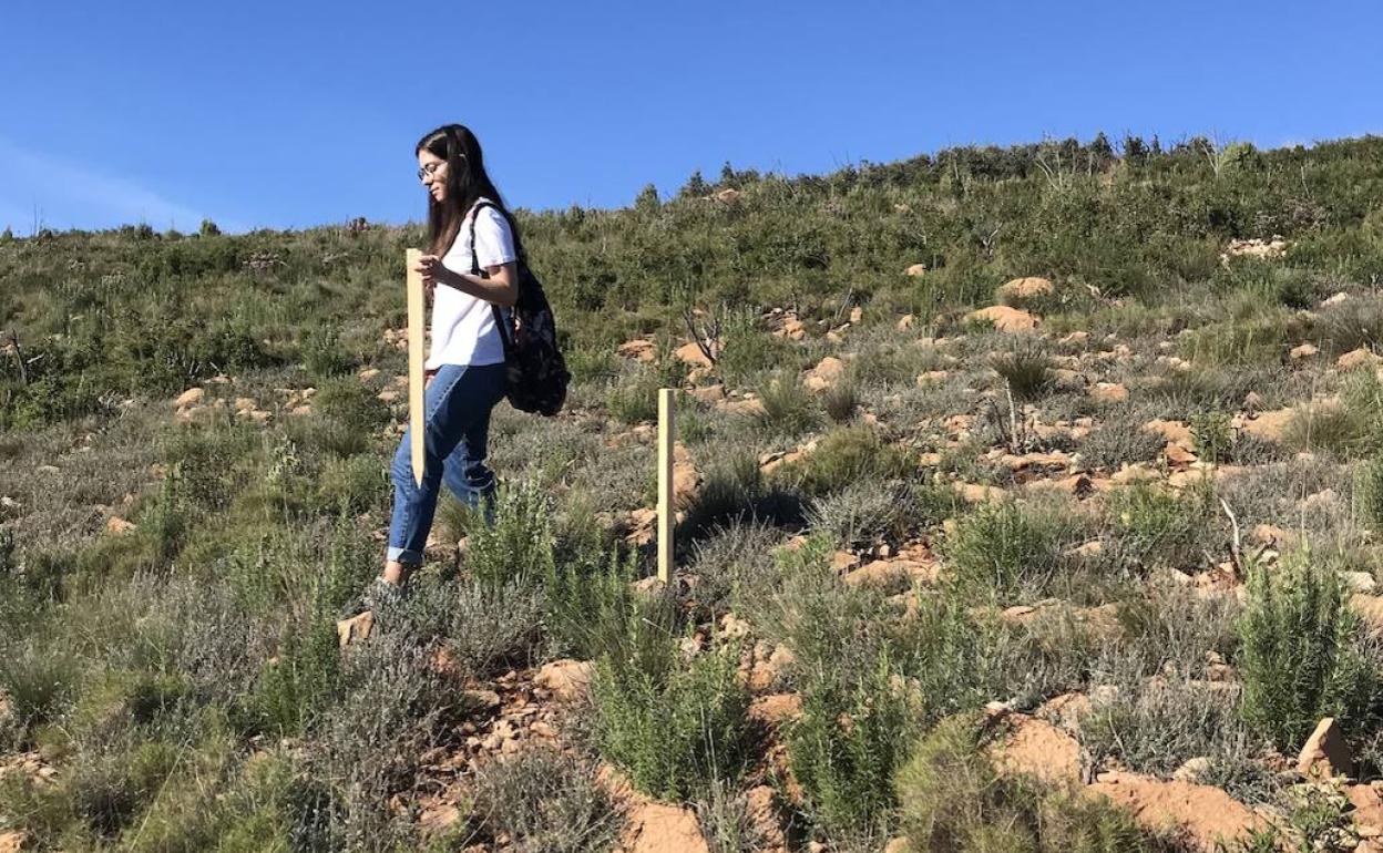 Una de las componentes de la oenegé prepara el terreno. 