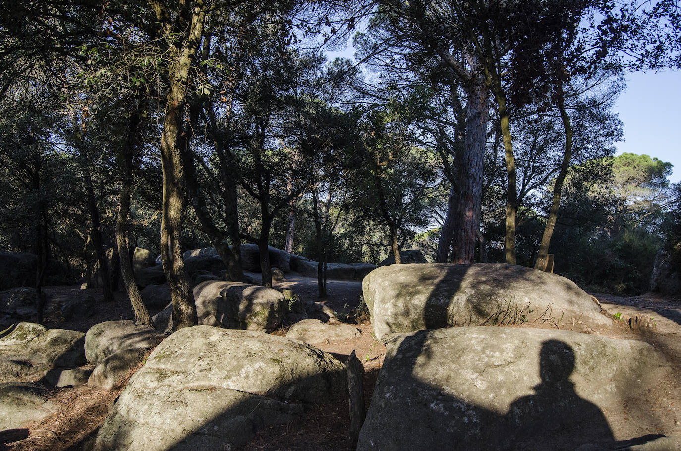 Fotos: El bosque encantado de Orrius, un lugar mágico y misterioso