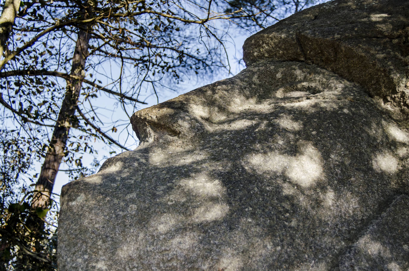 Fotos: El bosque encantado de Orrius, un lugar mágico y misterioso