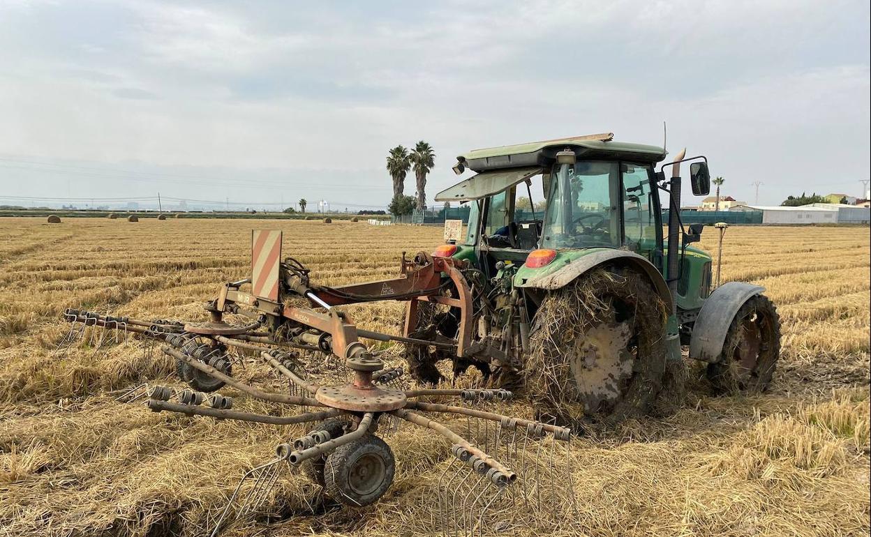 El Consell Agrari Municipal suma una nueva hiladora para facilitar la recogida y empacado de la paja del arroz