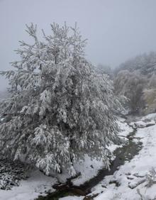 Imagen secundaria 2 - Nieve en Belagoa, Navacerrada o Brañavieja. 