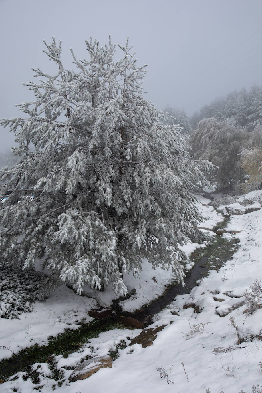 La primera nevada del otoño de 2021 cae en el norte de la península ibérica. 