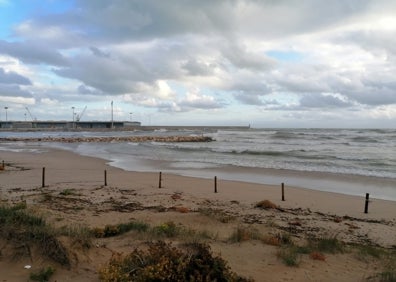 Imagen secundaria 1 - Desembocadura del Serpis, arriba; playa de Marenys de Rafalcaid en dos imágenes, abajo. 