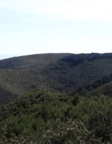 Imagen secundaria 2 - Al ascenso del Pico de Tristán: uno de los enclaves más valiosos de la Sierra Calderona