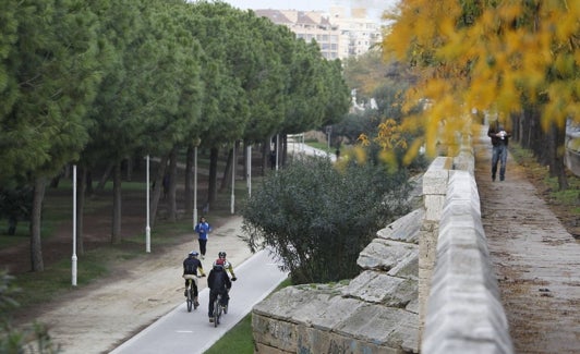 Jardín del Turia de Valencia. 