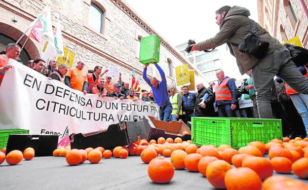 La naranja de España pierde mercados en la UE ante el empuje de Egipto y Sudáfrica