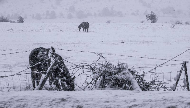 Nieve en Piqueras (Soria)